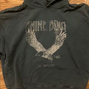 Anine Bing Dark Green Hoodie with Eagle Graphic